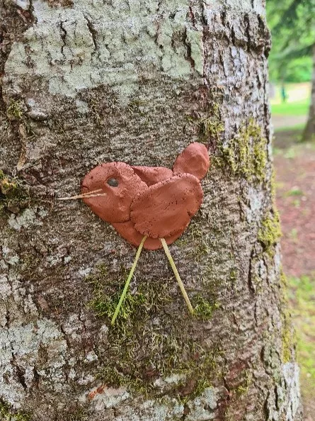 Ornithologues en herbe - ©Naturellement Enfant